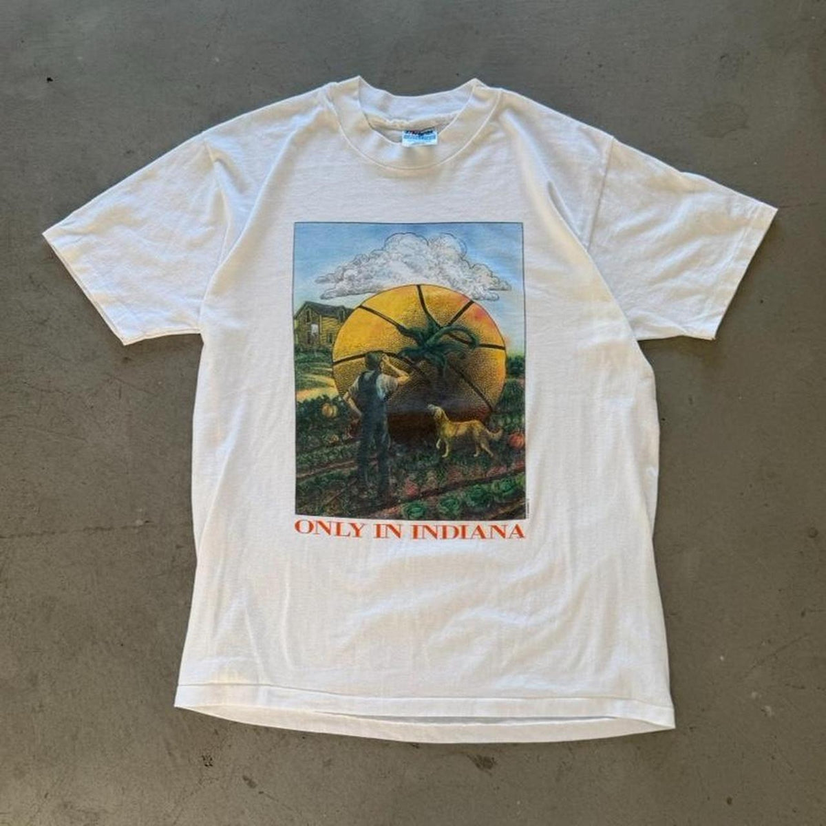 Vintage 90s Only in Indiana Basketball Pumpkin T-Shirt - Large