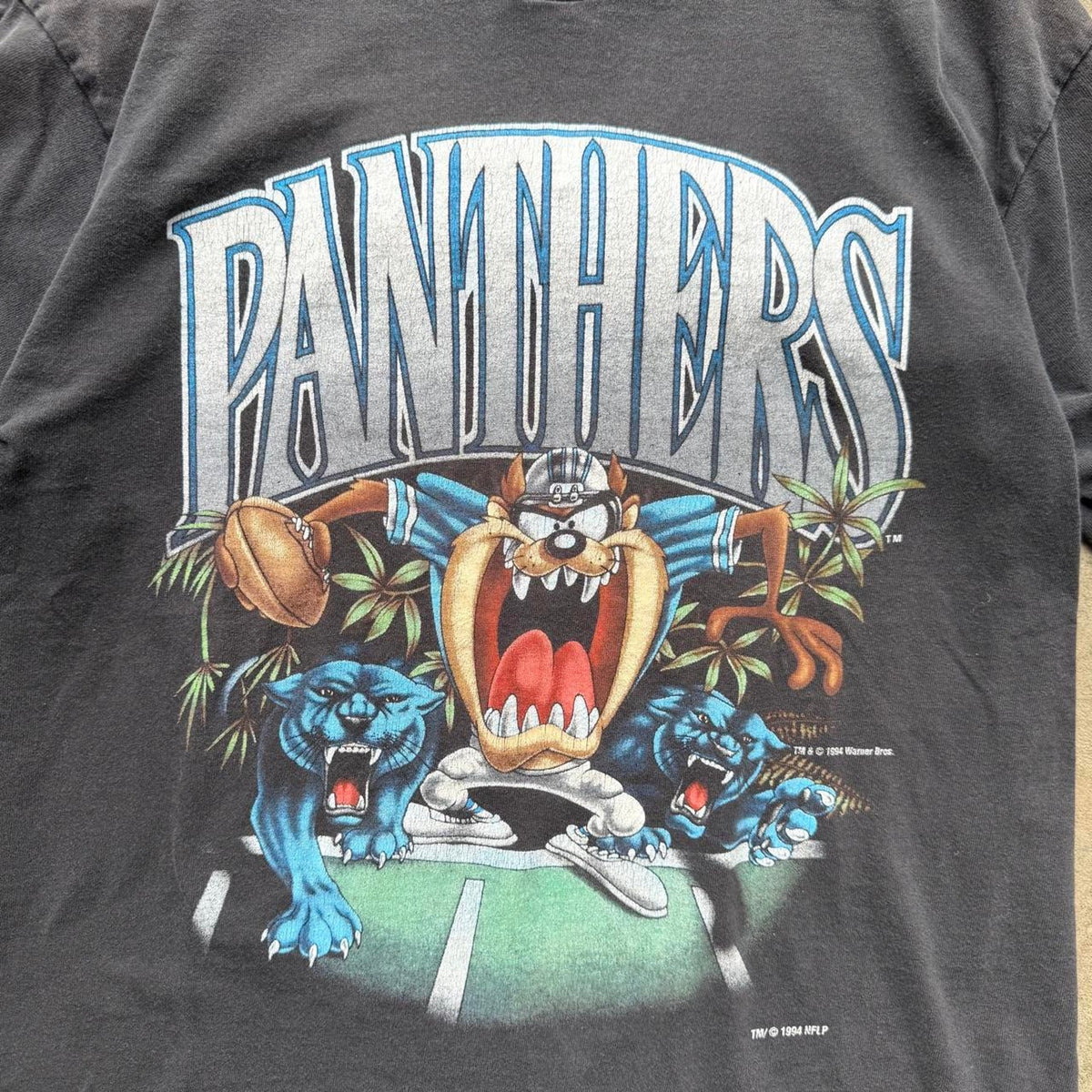 Vintage 90s Carolina Panthers Taz Looney Tunes NFL T-Shirt - Medium