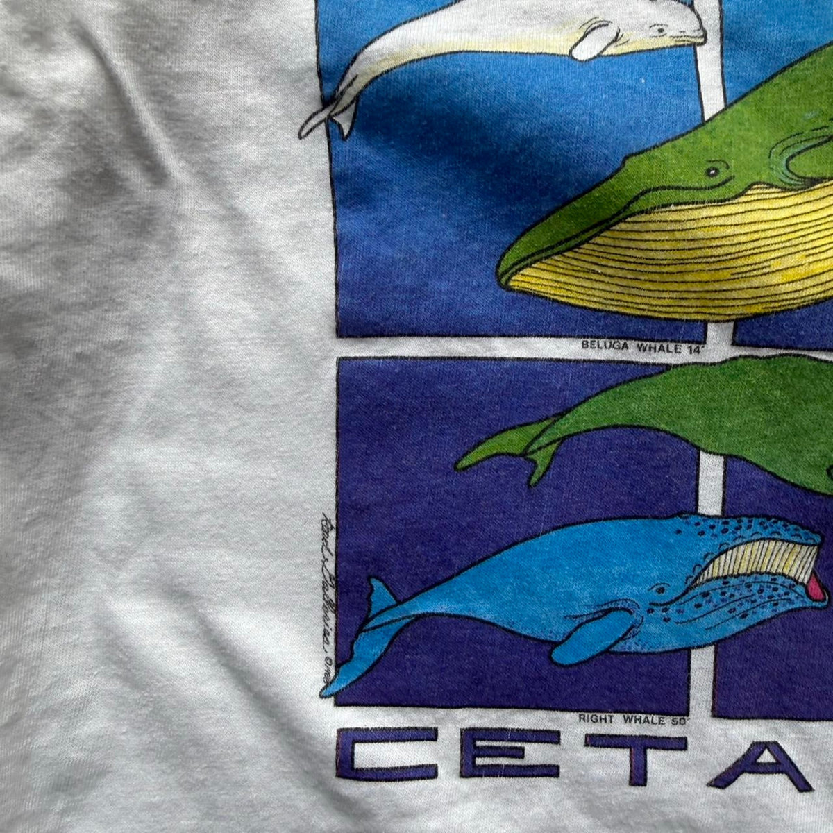 Vintage 90s Ocean Whale Nature Animal T-Shirt - Large