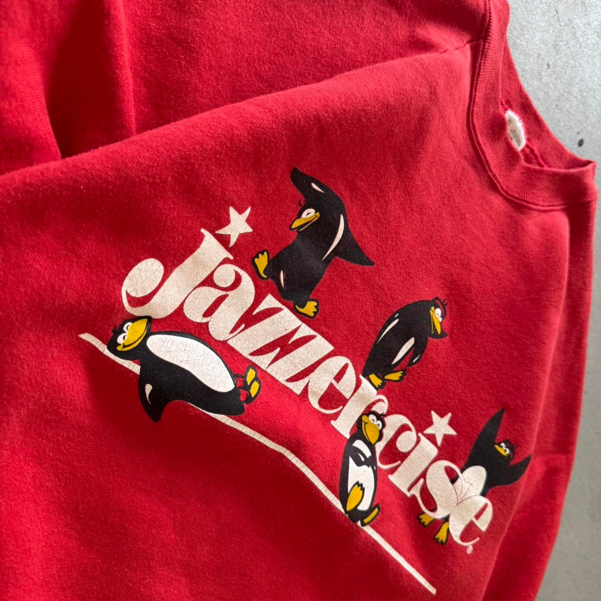Vintage 90s Jazzercise Penguin Animal Crewneck - X-Large