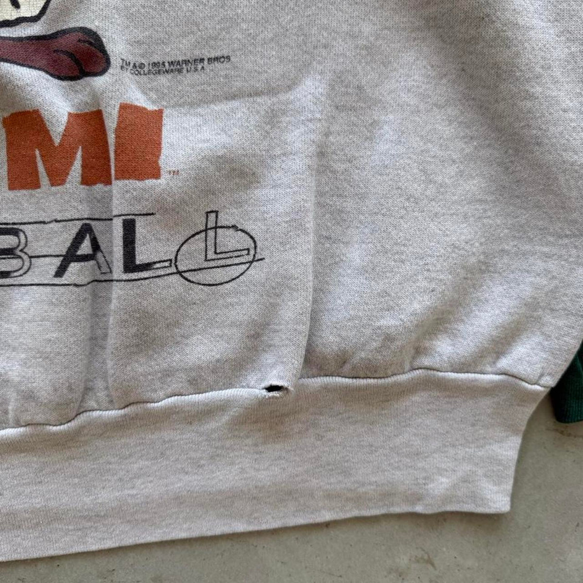 Vintage 90s Miami Hurricanes Taz Looney Tunes Crewneck Hoodie - XX-Large