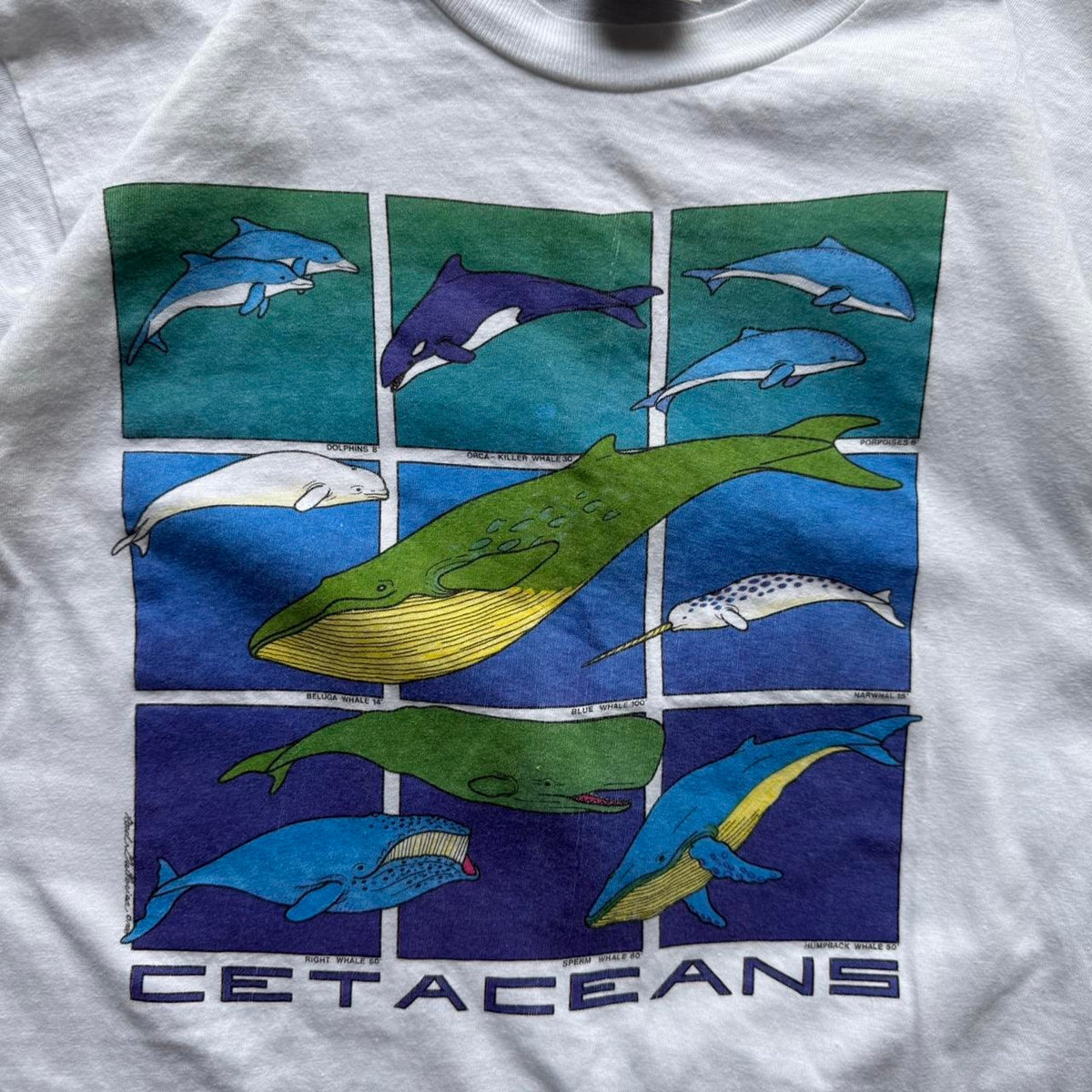 Vintage 90s Ocean Whale Nature Animal T-Shirt - Large